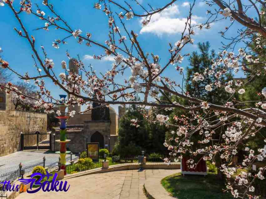 تور باکو، رزرو هتل در باکو، ویزای باکو آذربایجان، زمان سفر به باکو (1)