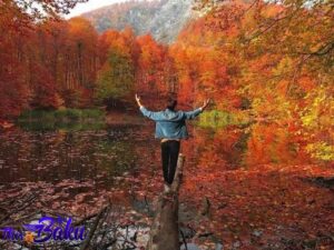 هتل باکو، تور باکو، ویزای باکو، سفر پاییزی به باکو (4)
